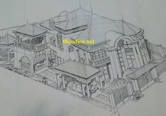 Cho Thuê Biệt Thự Cao Cấp Nguyễn Văn Hưỡng