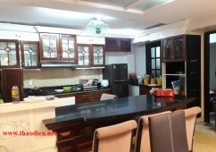 Cho Thuê Biệt Thự Khu 204 Nguyễn Văn Hưỡng Thảo Điền